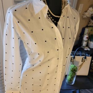 Dress Collar Polkadot Shirt